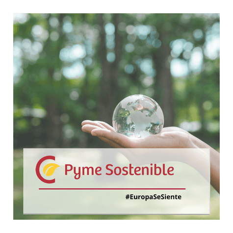img Pyme Sostenible - Inicio