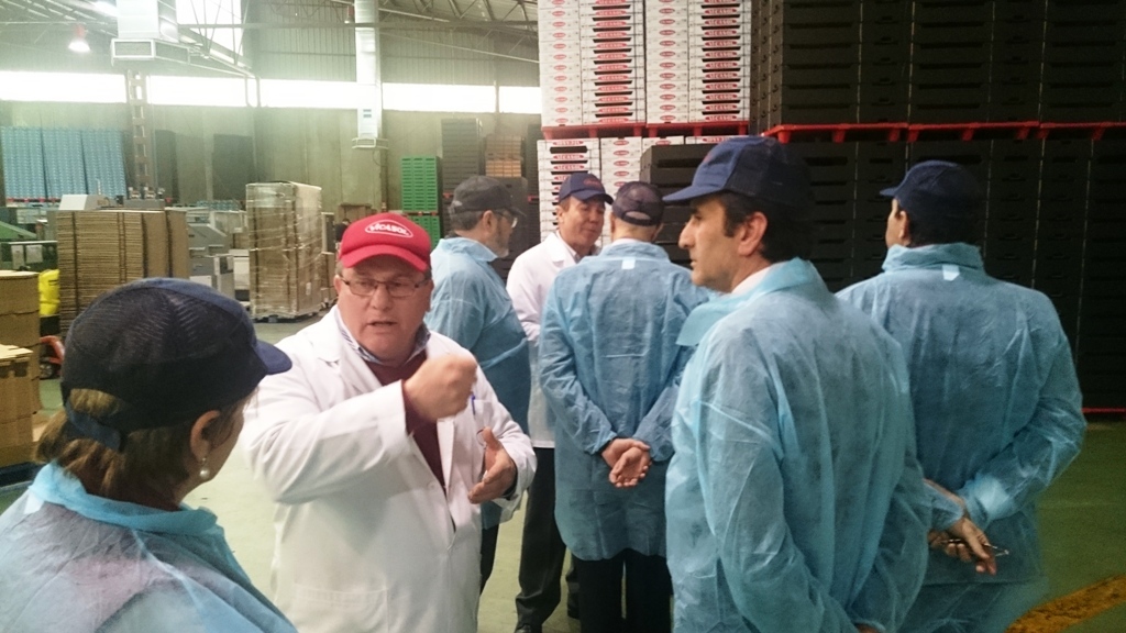 web - El comite ejecutivo de la camara se reune en vicasol y conoce las instalaciones de la cooperativa vicasol